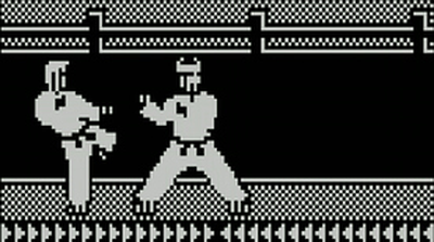 Master Karateka